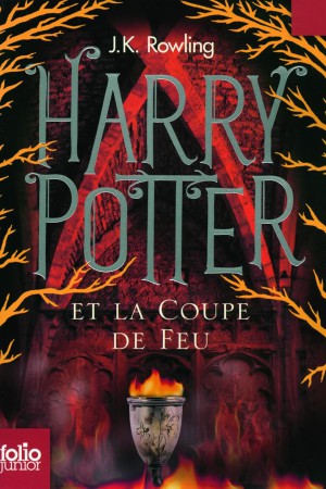 Harry Potter et la coupe de feu