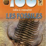 les-fossiles